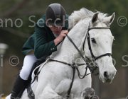 Campbell Catch Me TosTour 2013- S4 6845 : Arezzo Equestrian Centre, Campbell Gerard, Catch Me, Toscana Tour 2013, foto di Stefano Secchi ©